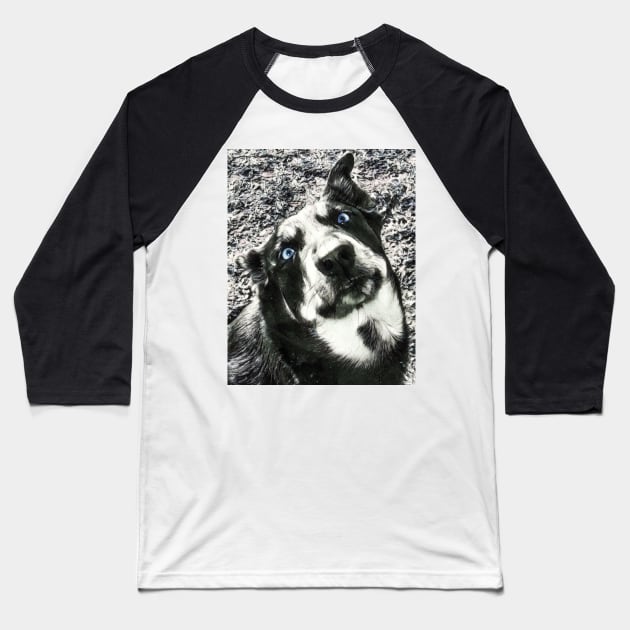 Husky Shepard Dog Baseball T-Shirt by PandLCreations